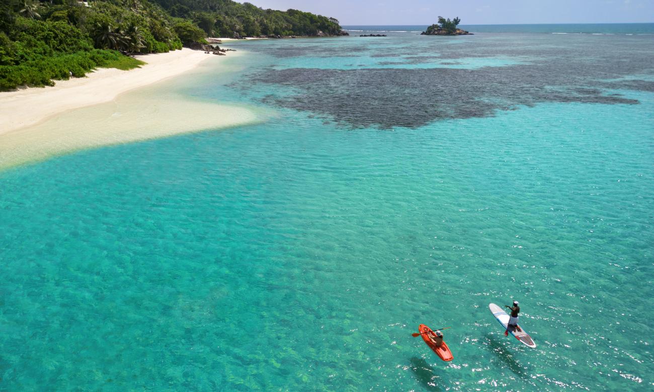 Couple paddleboarding in the ocean